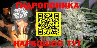 хмурый Камень-на-Оби