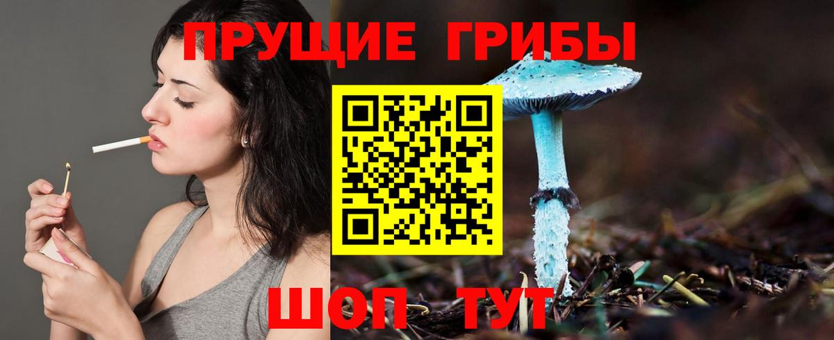 Псилоцибиновые грибы мицелий Алатырь